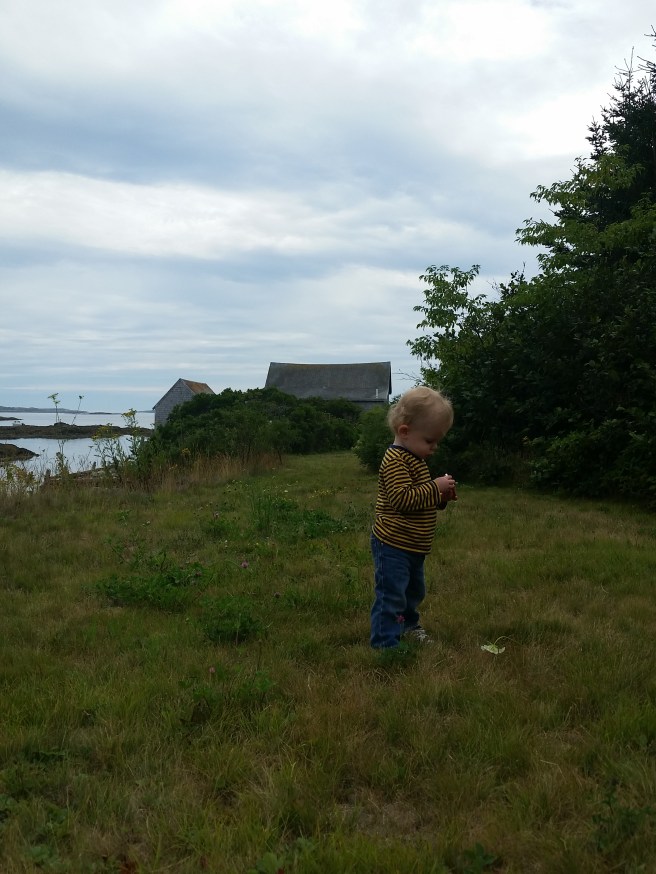 20160801_143844_28703876245_o