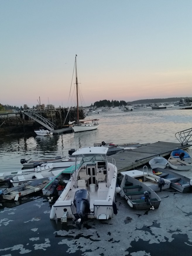 20160805_195713_28174832204_o