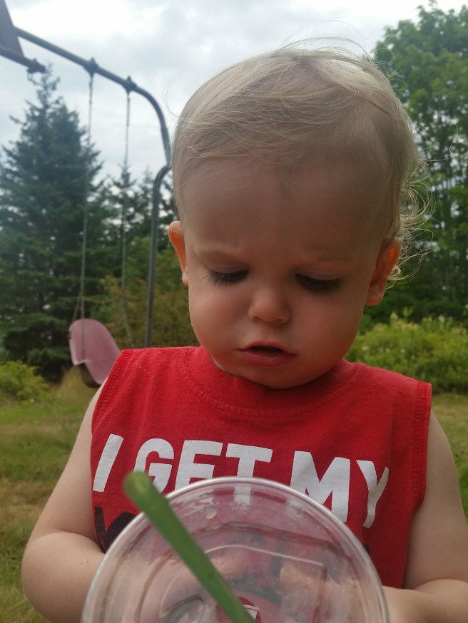 20160806_114633_28187956154_o